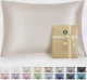 Bedsure Satin Pillowcase with Zipper, Similar to Silk Pillow Cases 2 Pack, Beige Standard Size Satin Pillow Case, Silky & Soft Pillow Covers, 20x26 Inches