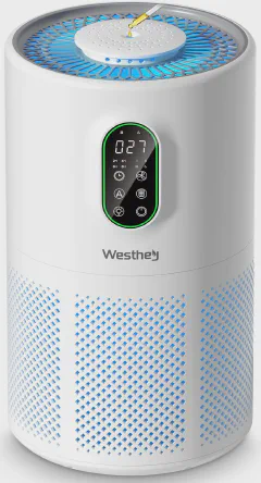 Air Purifiers for Home Large Room up to 1650 ft², WESTHEY H13 True HEPA Air Purifier